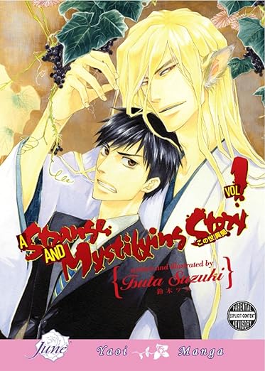 A Strange And Mystifying Story Volume 1 (Yaoi) (STRANGE & MYSTIFYING STORY GN)