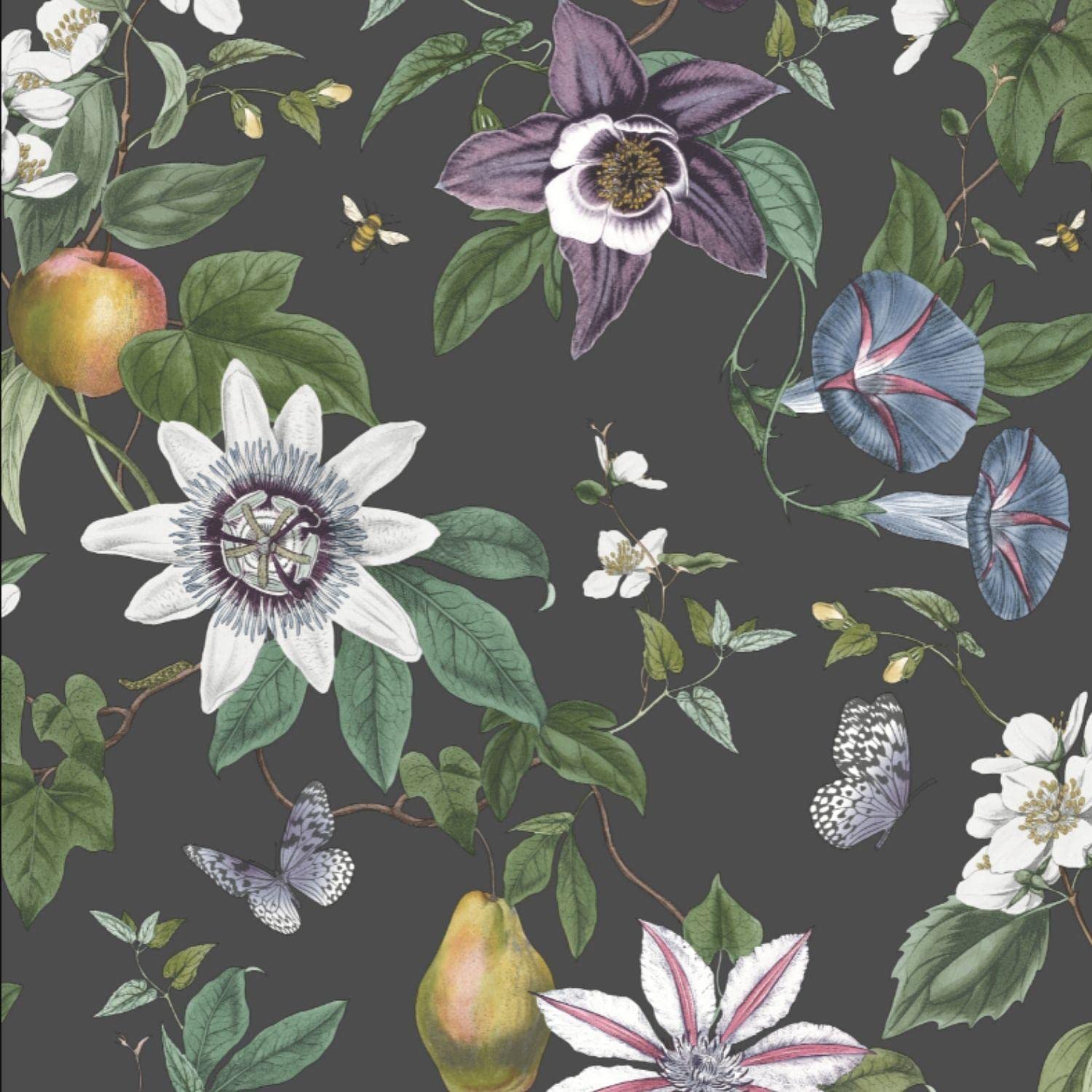 Yöl Black Fine Decor Sierra Floral Botanical Wallpaper Feature Statement Wall
