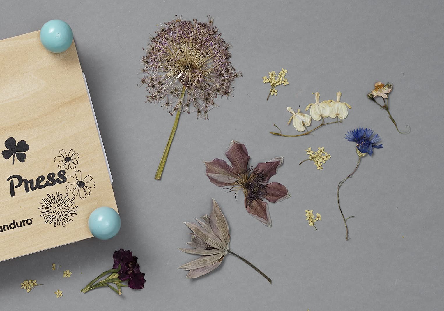 BENECREAT Blumenpress-Set Aus Holz | Mini-Presse 5,1x9,9 Cm Mit Löschpapier | Zum Trocknen Von Blumen & Blättern