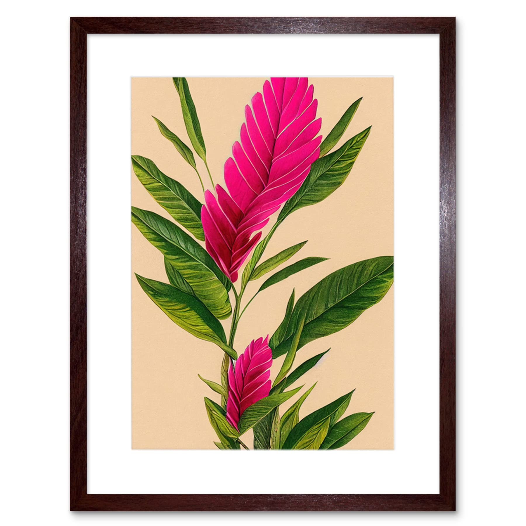 Wee Blue Coo Tropical Hawaiian Botanical Exotic Pink Floral illustration Artwork Framed Wall Art Print 9X7 Inch