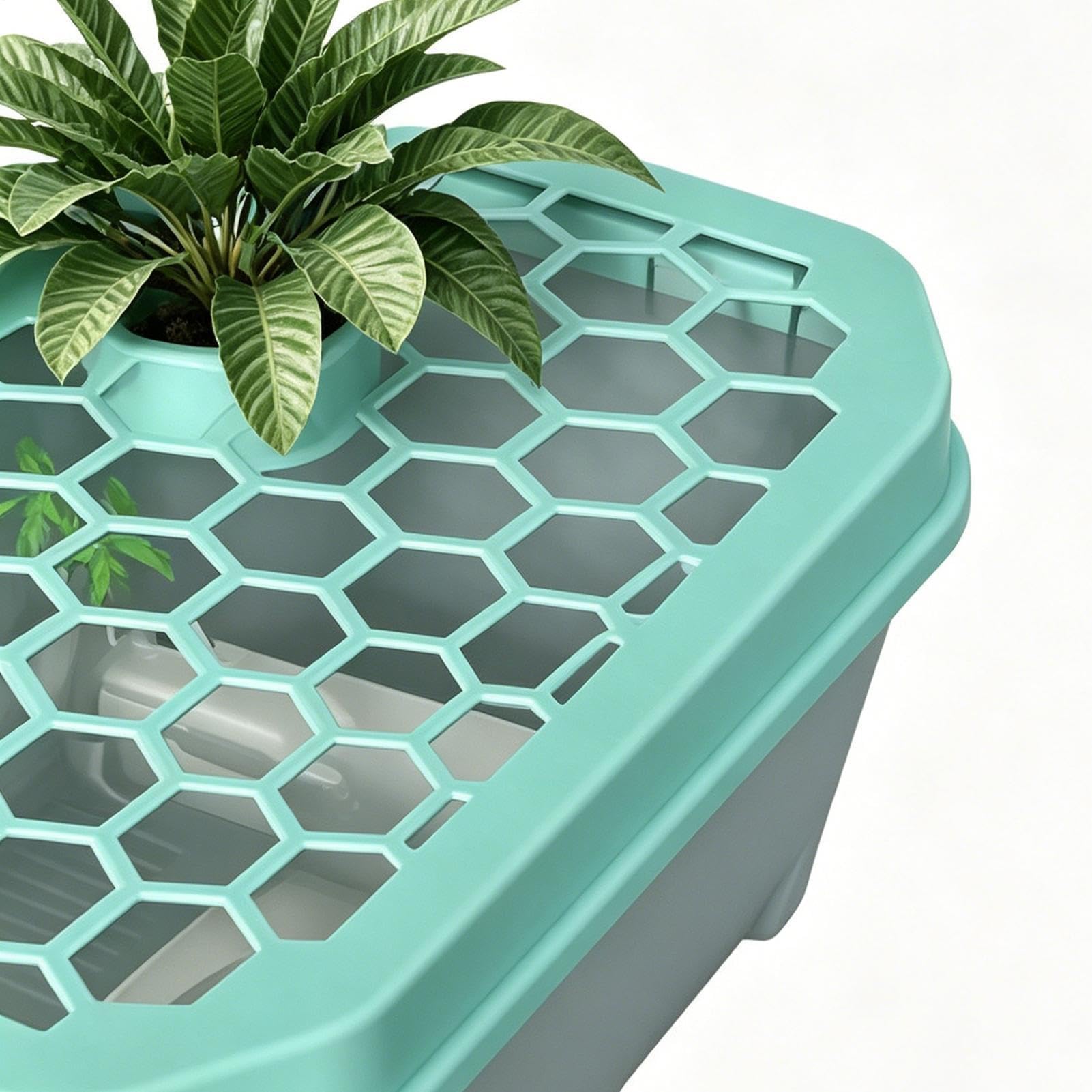 Terrario per tartarughe acquatiche, per tartarughe, gamberi, granchi eremiti, rane, ideale per la casa e la decorazione del soggiorno
