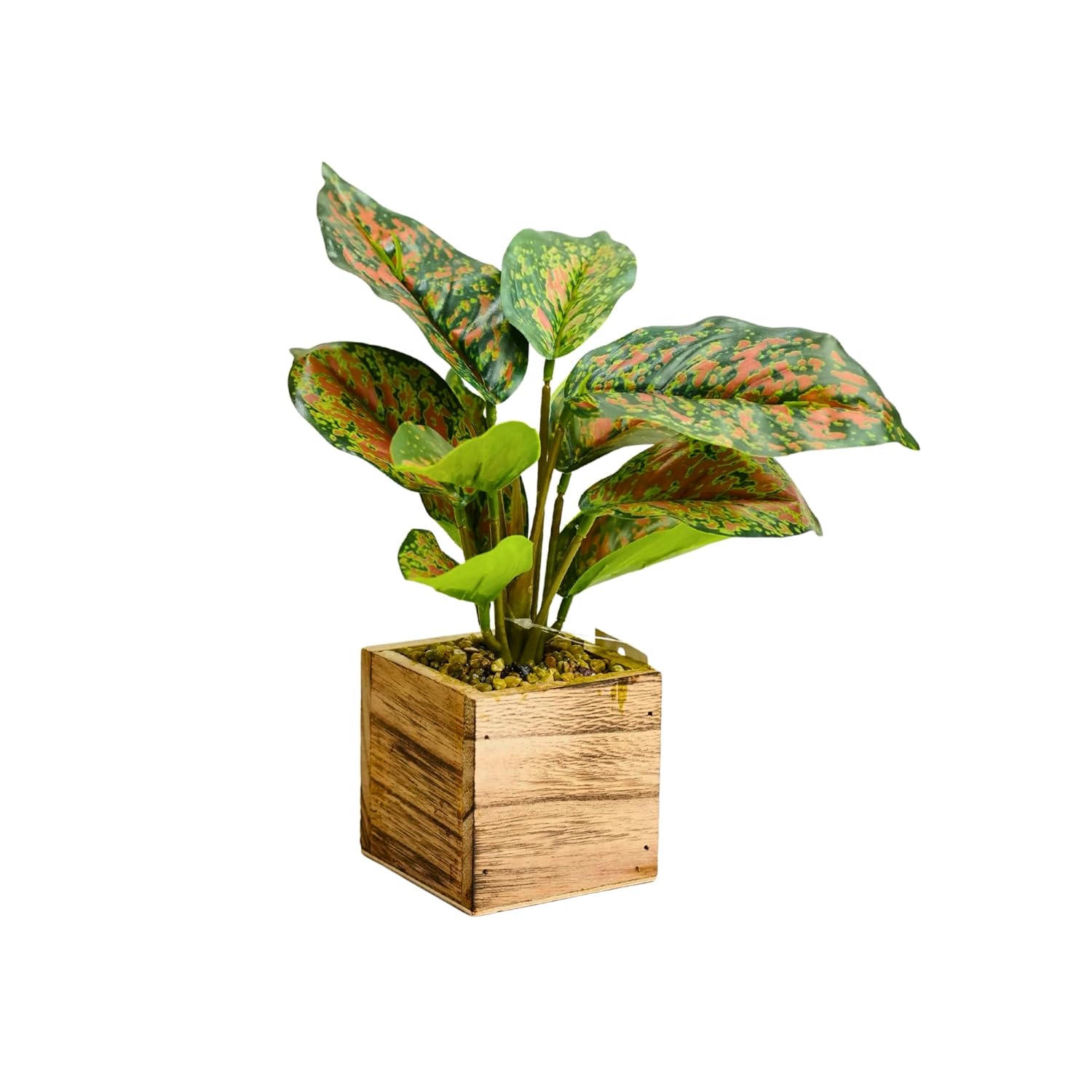 Artificial Plant with Pot| Natural Look Plastic Material| Home Decor| Indoor Plant for Table Balcony Office |Indoor & Outdoor Plant| 27cm|Japonica Grace| Perfect for gifting