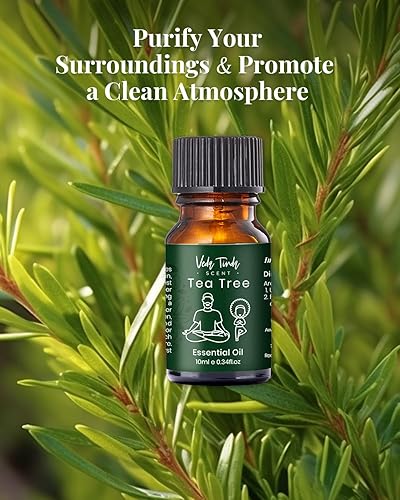 Miniatura 4 de VTS - Difusor sin agua con 6 aceites esenciales superiores, lavanda, menta, eucalipto, árbol de té, naranja dulce, aceites de aromaterapia de