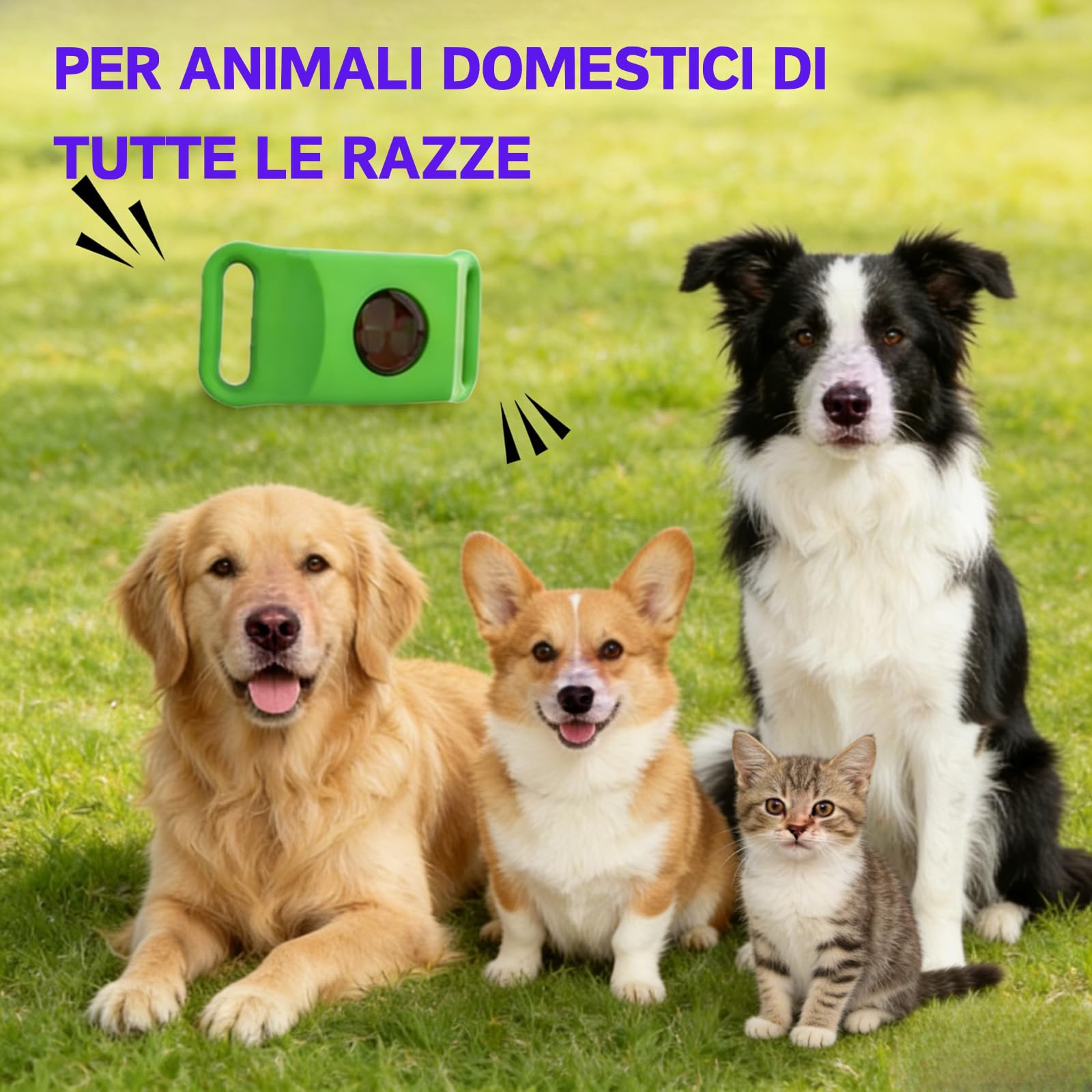 Aquality Pets Collare Antiparassitario Naturale, Collare Antiparassitario Per Cani, Adatto a Più Razze Di Animali Domestici, Gatti e Cani Universali