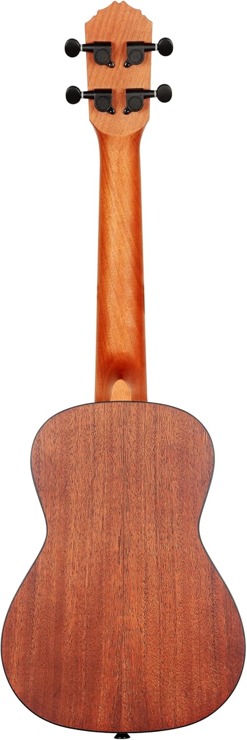 Bonfire Series Concert Ukulele