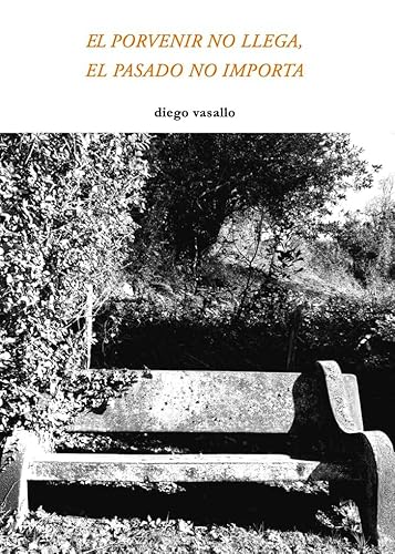 El porvenir no llega, el pasado no importa (Suite Virginia, Band 2)