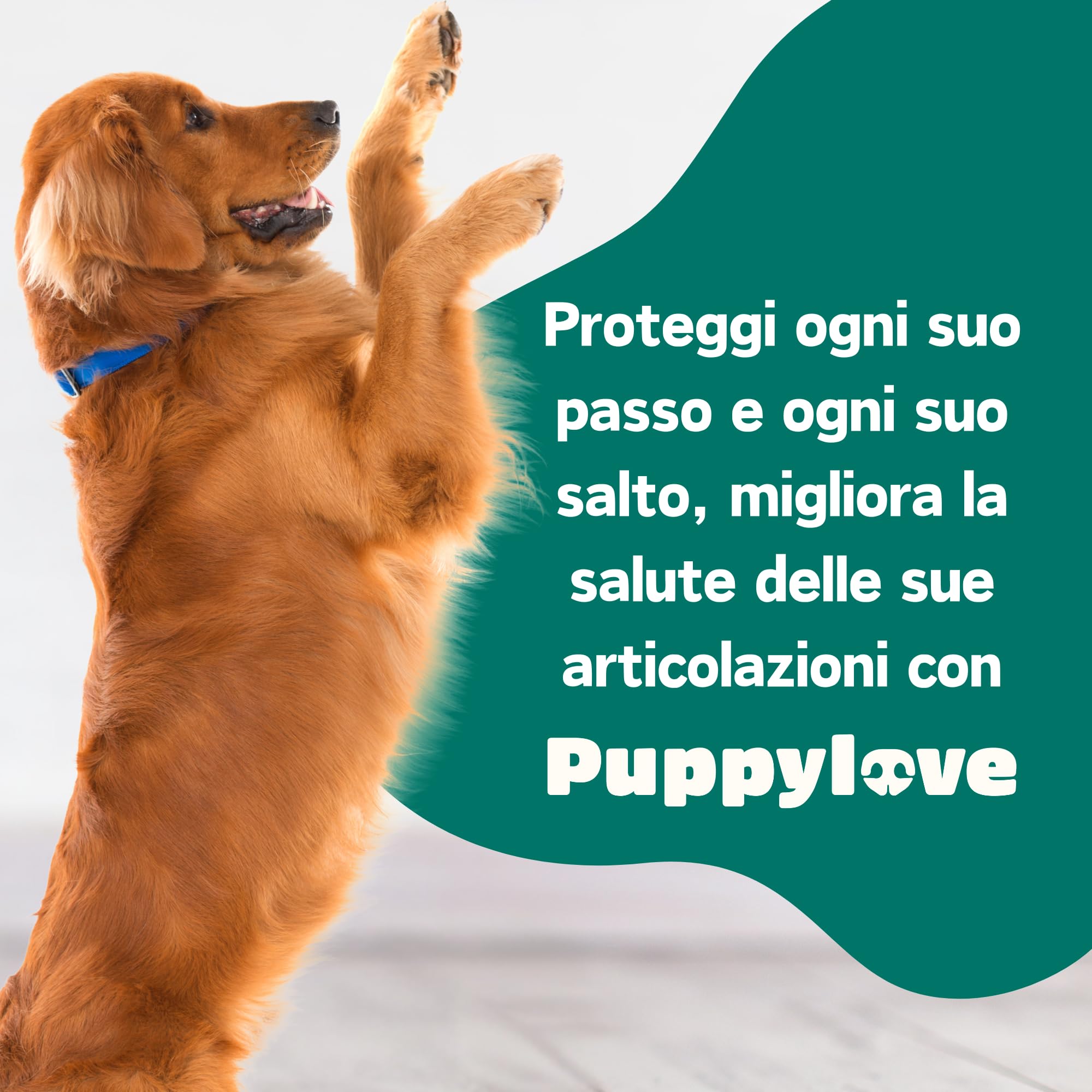 Puppylove Agility Boost – Integratore per le Articolazioni dei Cani -100 Compresse – Supporto per Mobilità e Flessibilità – Con Glucosamina, Condroitina e Olio di Pesce – Per Cani di Tutte le Taglie