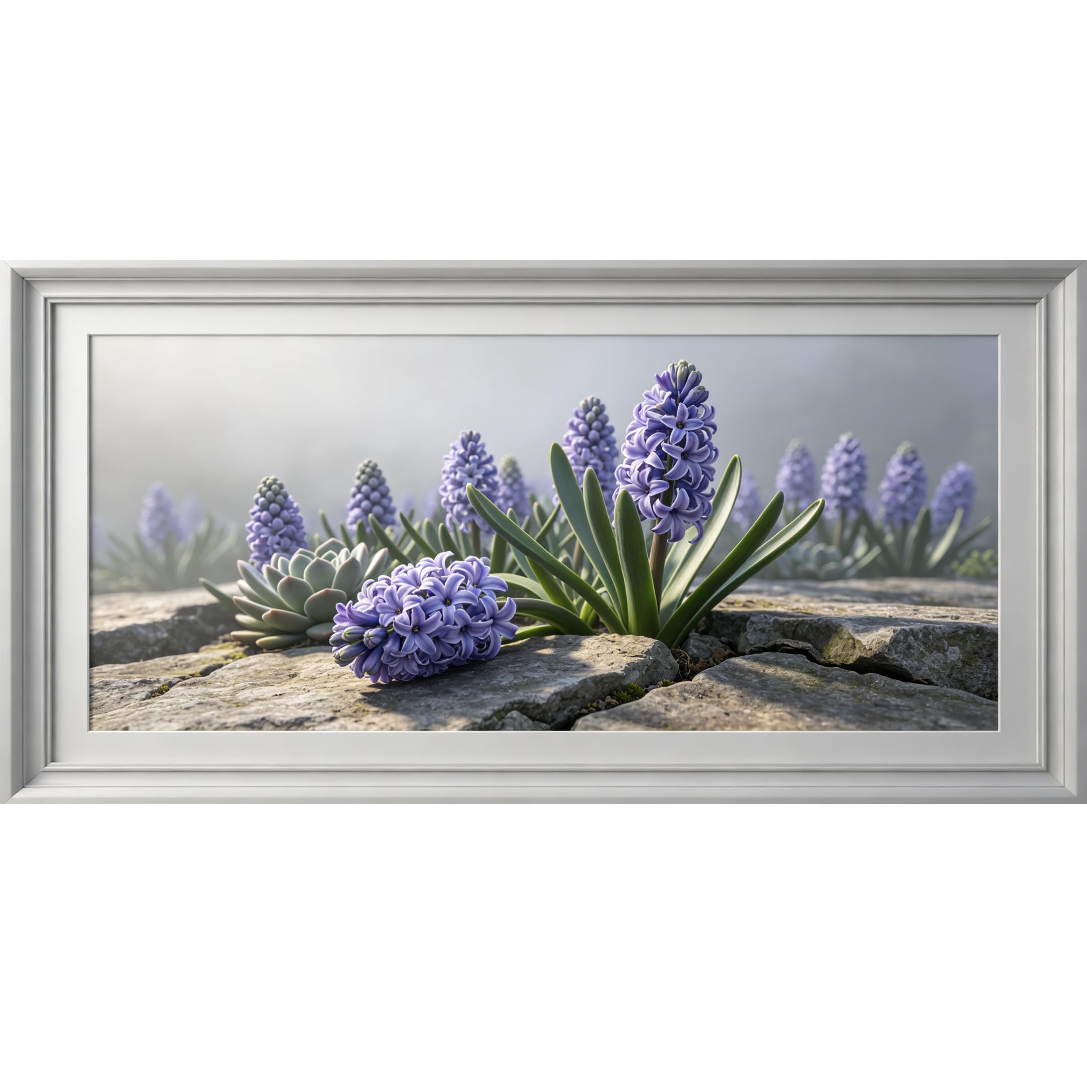 Agglomerix 3D Framed Wall Art Purple Hyacinth Flower Succulent Stone Botanical Modern Large Size SelfAdhesive Removable Wall Decor Prints Artwork for Living Room Bedroom Office