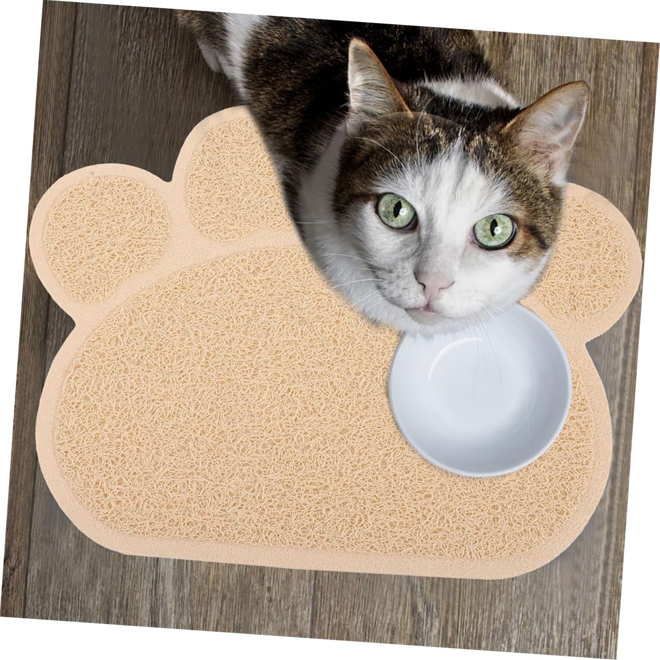 UPKOCH 2 Stück Katzentoilettenmatte Rutschfest für Böden Einfach zu Reinigen Hält Katzensand und Futterreste Zurück für Haustiere