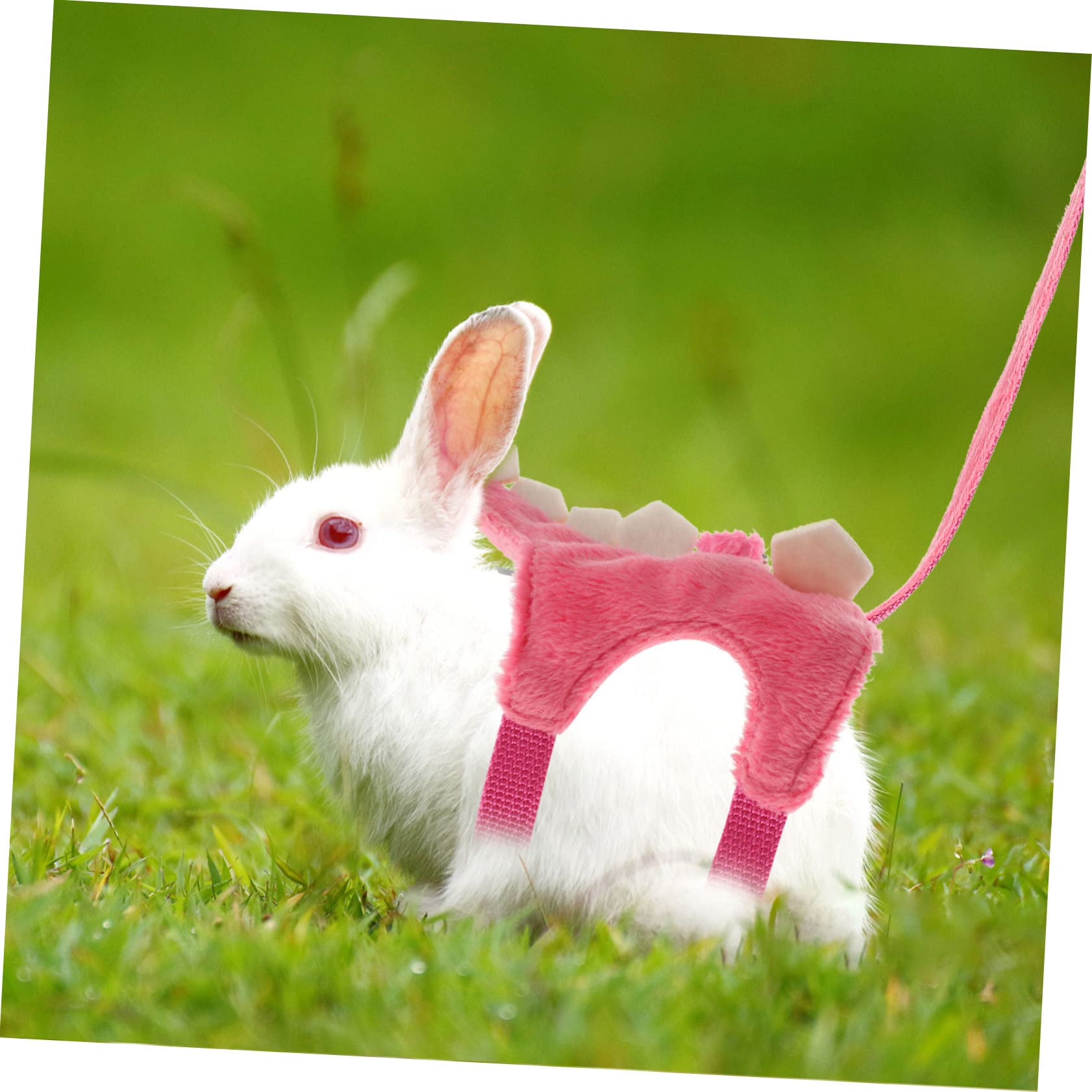 SUPVOX 3pezzi Imbracatura e Guinzaglio Per Animali Pet Walking Vest Ferret e Scoiattoli Materiale Resistente e Design Traspirante Per Attività Indoor e Outdoor