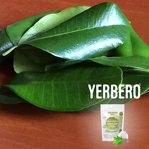 Miniatura 7 de Yerbero - Polvo de guanábana de graviola seca de primera calidad, 2 oz (56 g) Hoja de Guanabana En Polvo, 100% Natural Delicioso Té Fresco  De