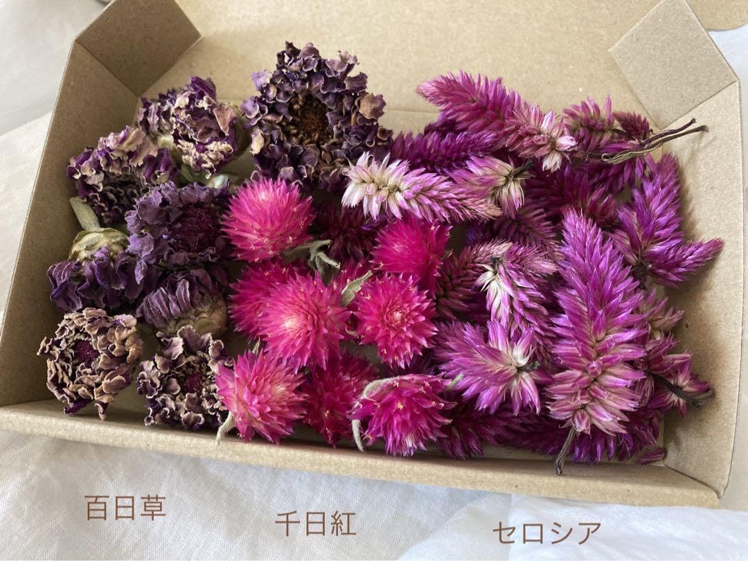 ドライフラワー❇️秋冬花材～♪ ドライフラワー❇️秋冬花材～♪ 秋から冬にかけて ～あじわい