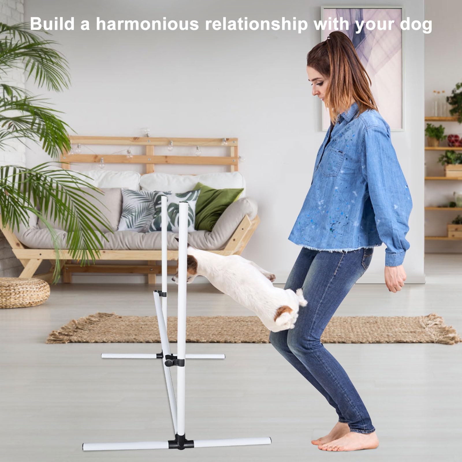 Kit di salto per l'agilità del cane, set di ostacoli regolabili con borsa portaoggetti, facile da installare, attrezzatura per corsa ad ostacoli per interni ed esterni, per cani