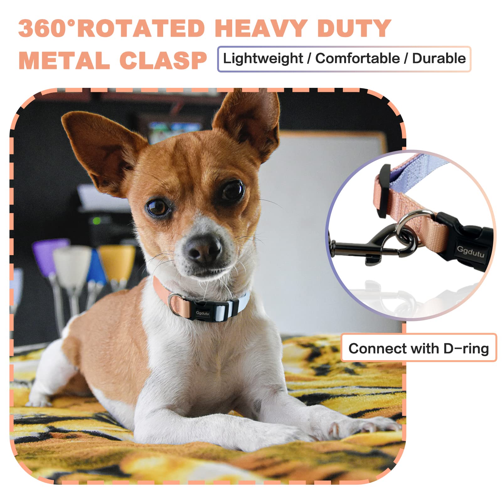 Ggdutu Set Collare e Guinzaglio per Cani, Collare Regolabile, Nylon resistente addestramento cane guinzaglio, Adatto a cani di taglia media e grande, Misure 1.5m x 2.0 cm(Taglia-M) Sfumato beige