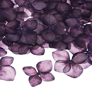 12-Pack Dried Pressed Flowers for Resin, Real Natural Bulk Dry Floral for Crafts/DIY Jewelry/Soap Making/Scrapbooking/Candle/Epoxy Resin Supplies//Photo Frames [Dark Purple]
