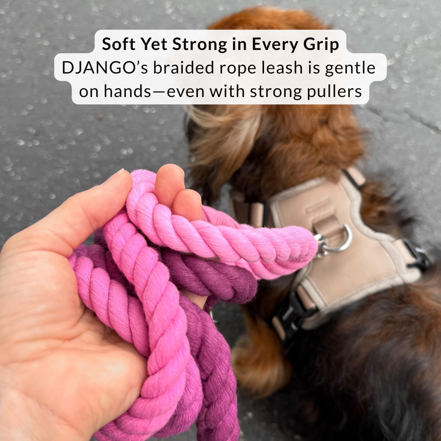 DJANGO Cotton Rope Dog Leash 5ft – Handcrafted Dog Leash and Purple Ombre Braided Leash for Small, Medium, and Large Dogs – Durable 5 Foot Training Lead with Silver Hardware – Raspberry Purple