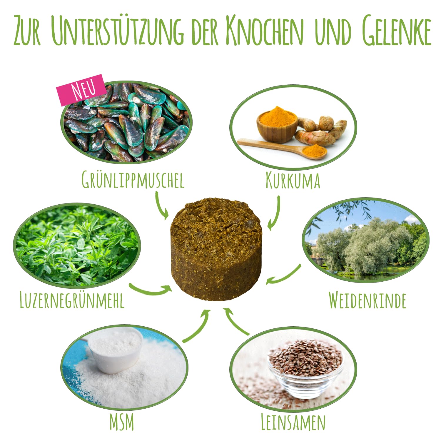 Gelenk Fit I Nahrungsergänzungsmittel für Hunde zur Unterstützung der Knochen und Gelenke I Mit Grünlippmuschel, MSM und Kurkuma (300g - ca. 360 Stück)