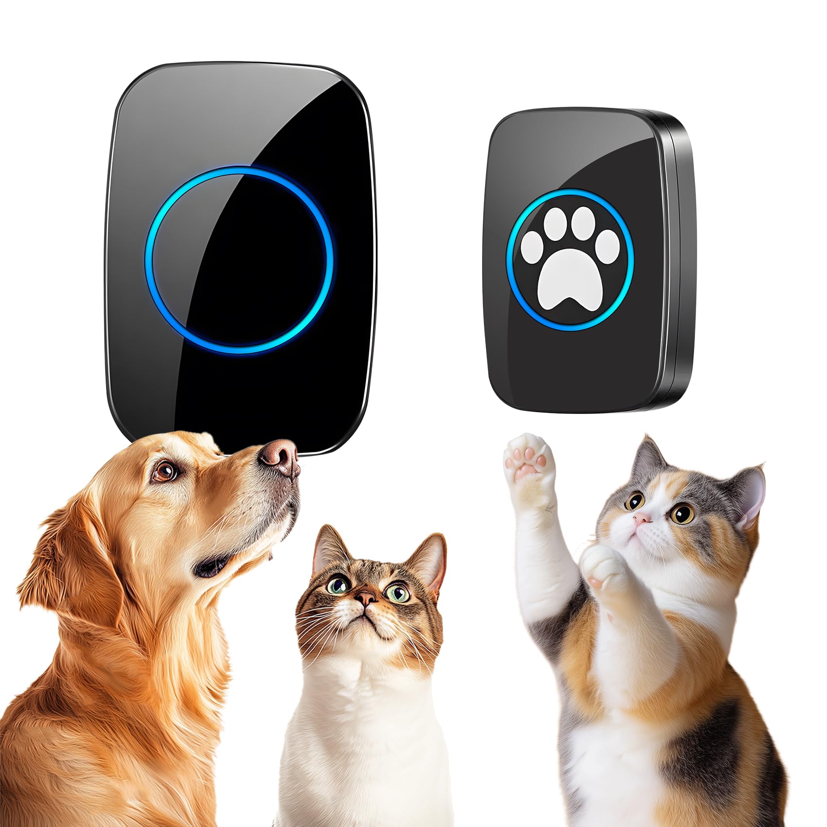 A10 Katzenklingel & Hundeklingel – Kabellose Türklingel, 300 m, LED, 60 Melodien, Wasserdicht, Buzzer Hund, Katzenglocke, Katzen Klingel Tür Außenbereich (1 Klingeltaster + 1 Empfänger)