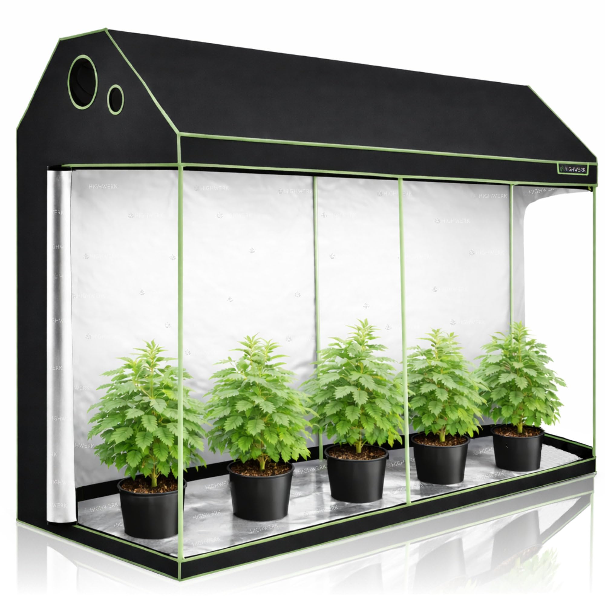 Growzelt 240 x 120 x 180 cm | MyHomeGrow Grow Tent, Grau | Indoor Grow Tent für Pflanzenzucht | Growbox, Homegrow, Growschrank | Zuchtzelt, Pflanzenzelt, Anzuchtzelt, Gewächshaus