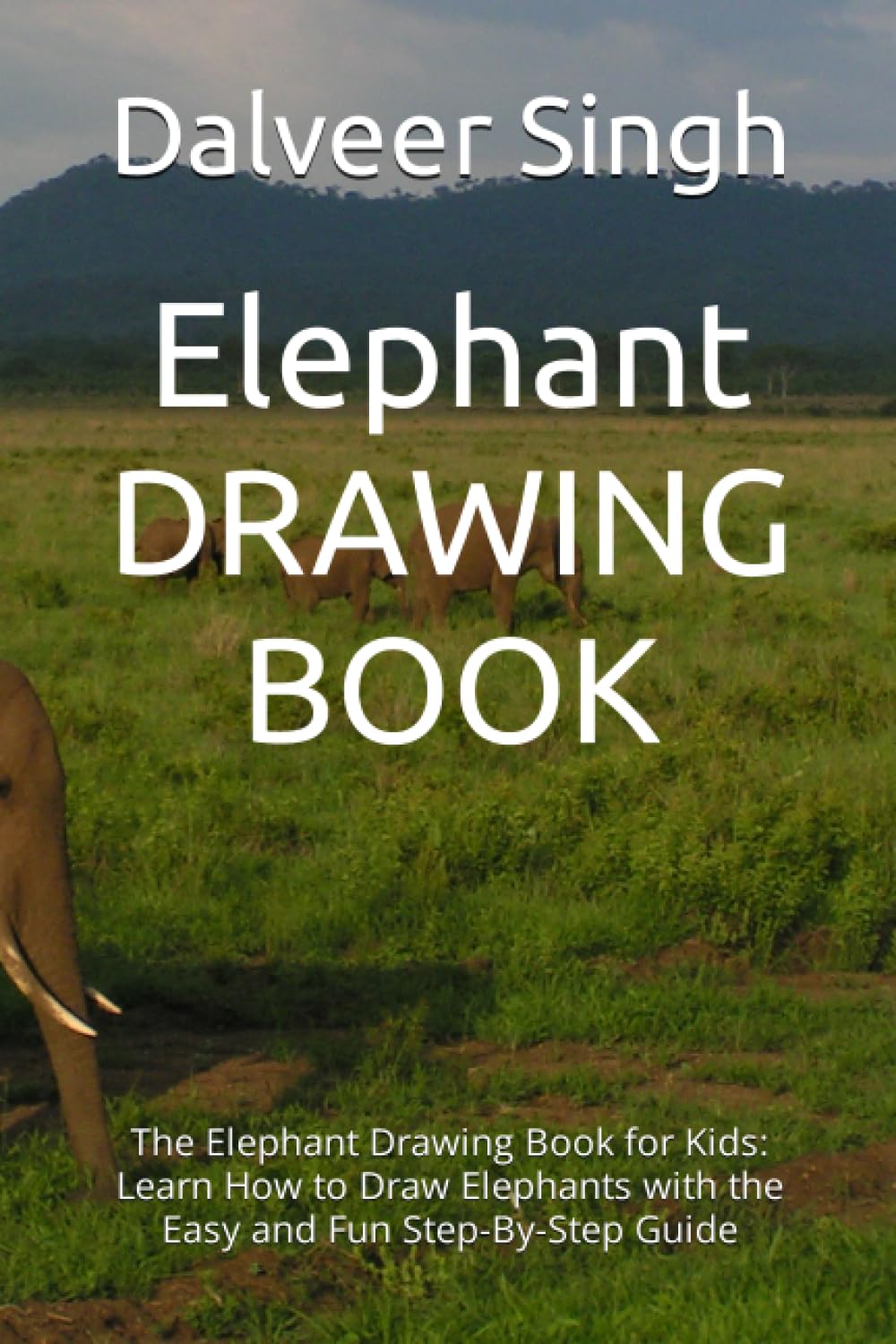 Livre de dessin éléphant pour apprendre sans frustration