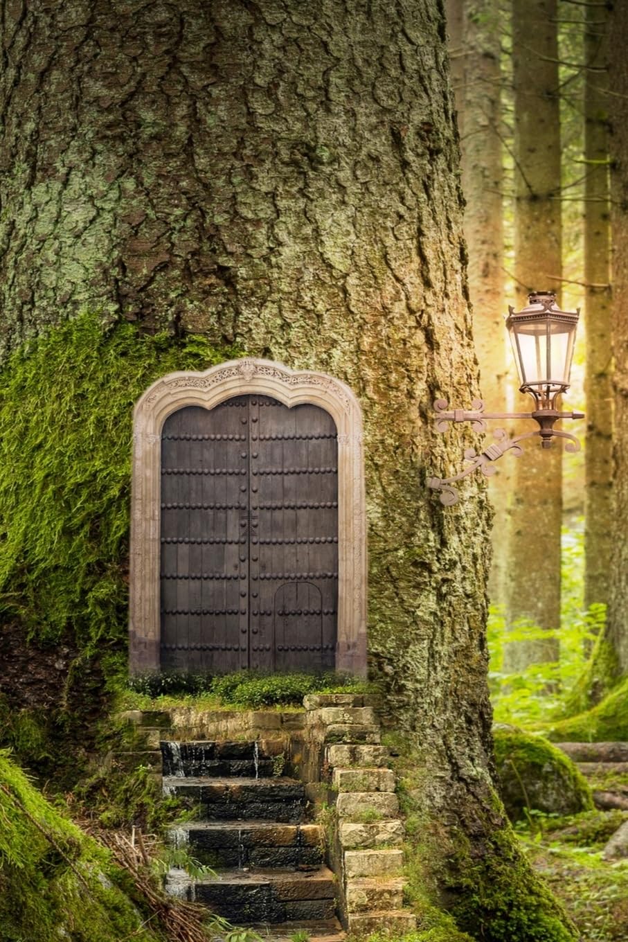 Forest Door: Discreet Internet Password Logbook. Large Print. Protect and Organize Your passwords. Never Forget a password Again.
