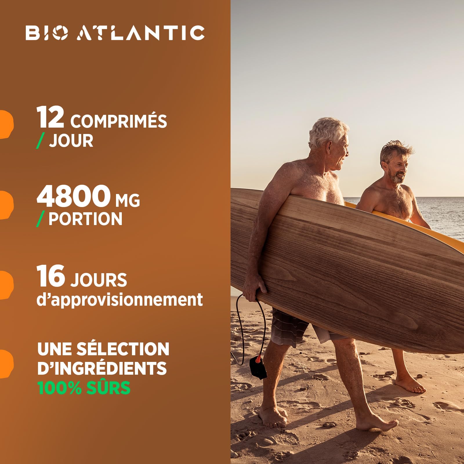 Articulation Bio 400 mg – 200 Comprimés - Prêle, Reine des Prés et Harpagophytum - Maintenir la Santé Articulaire.