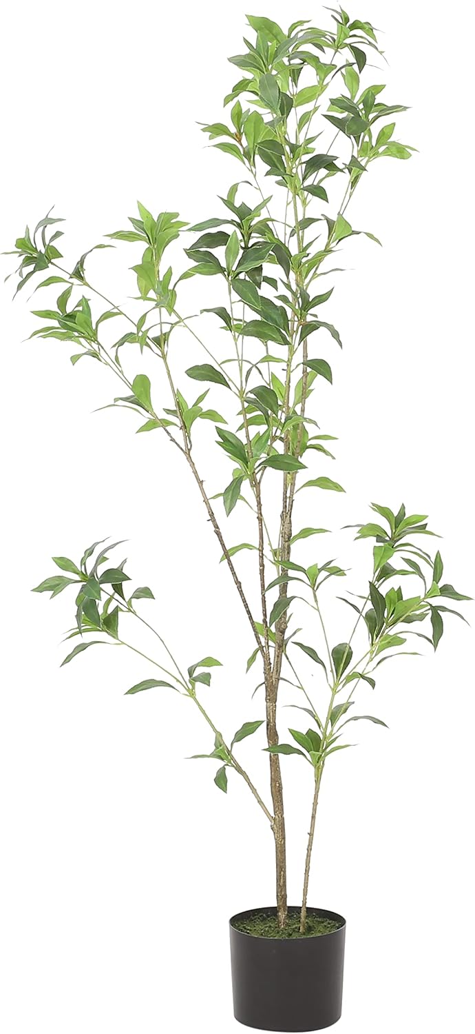 Christopher Knight Home Bergweg 4' x 1.5' Artificial Pieris Tree - Green