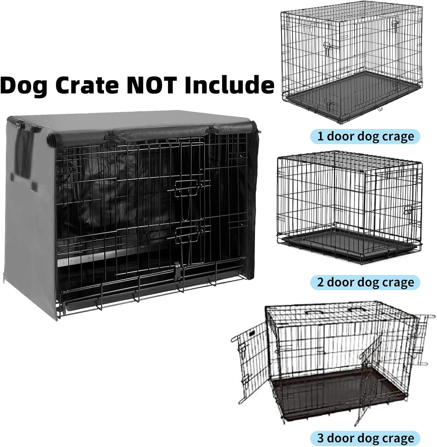 Transform Your Dog