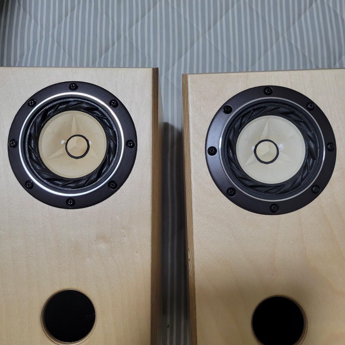 Amazon.co.jp: フォステクス FE108EΣ スピーカー ペア bearhorn製
