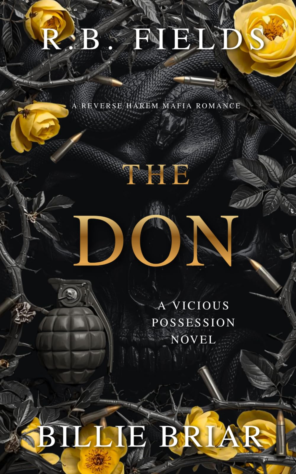 The Don: A Reverse Harem Mafia Romance