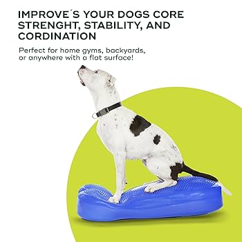 Amazon.com: FitPAWS® K9FITbone® - Giant, Blue | Dog Balance