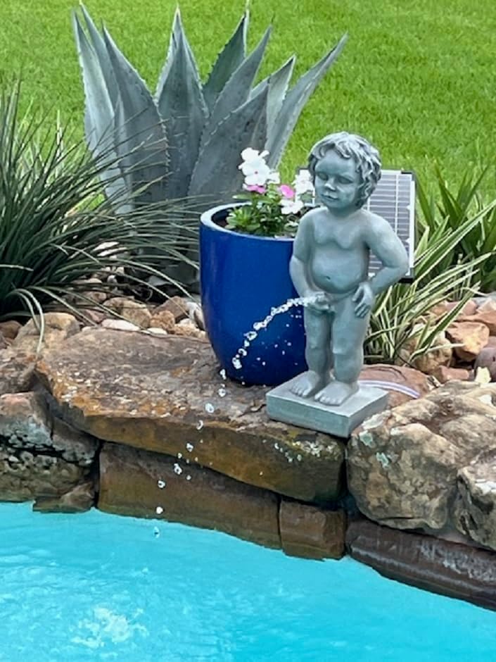 Miniatura 7 de PondH2o - Abrazaderas de manguera de estanque de doble alambre de 1 14 pulgadas (1.260 in), paquete de 4 unidades  Abrazaderas de alambre doble de