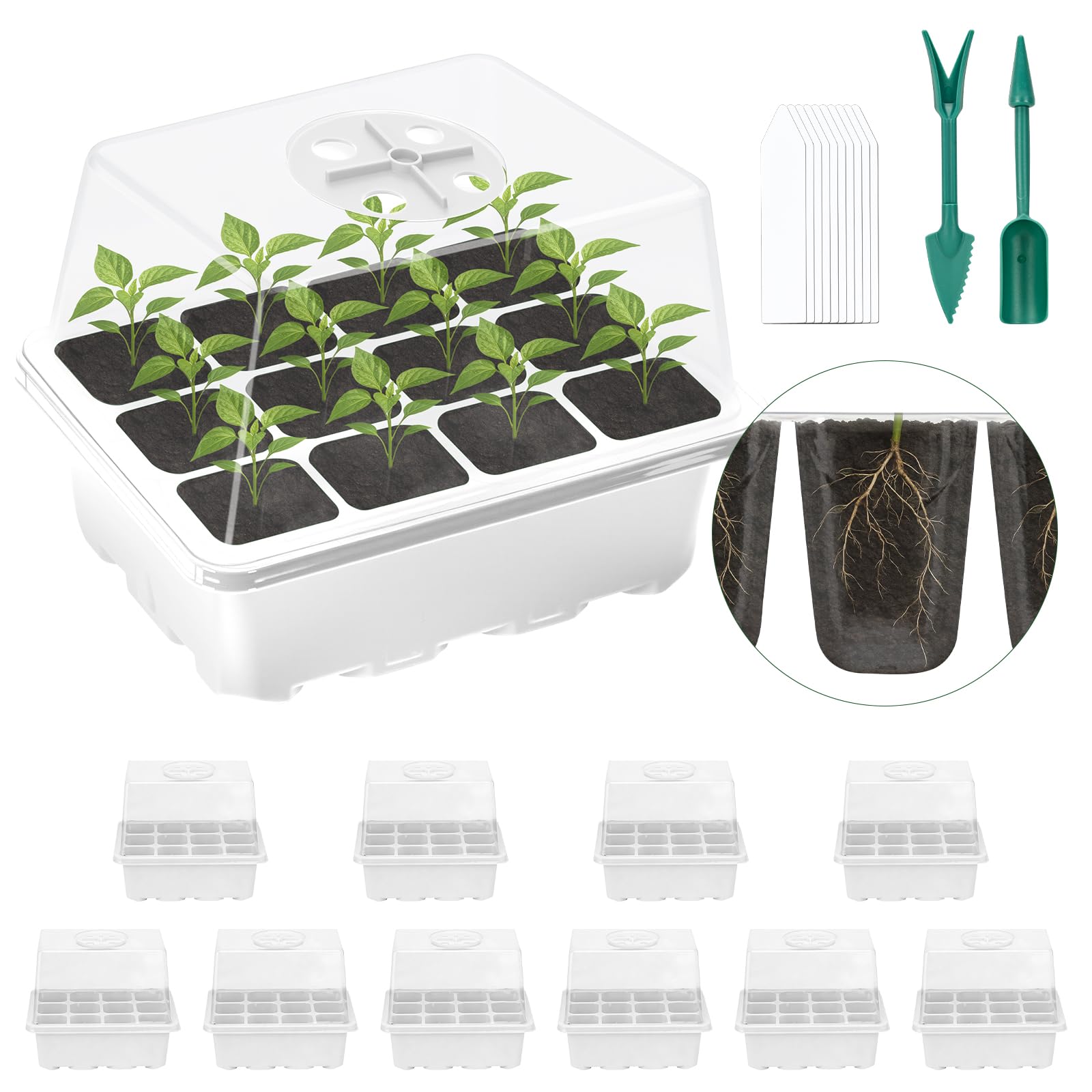 Lychee Seedling trays, pack of 10, 120 cells, for growing seedlings in greenhouses and gardens, featuring a raised lid and rotatable ventilation holes (White,10Pec)