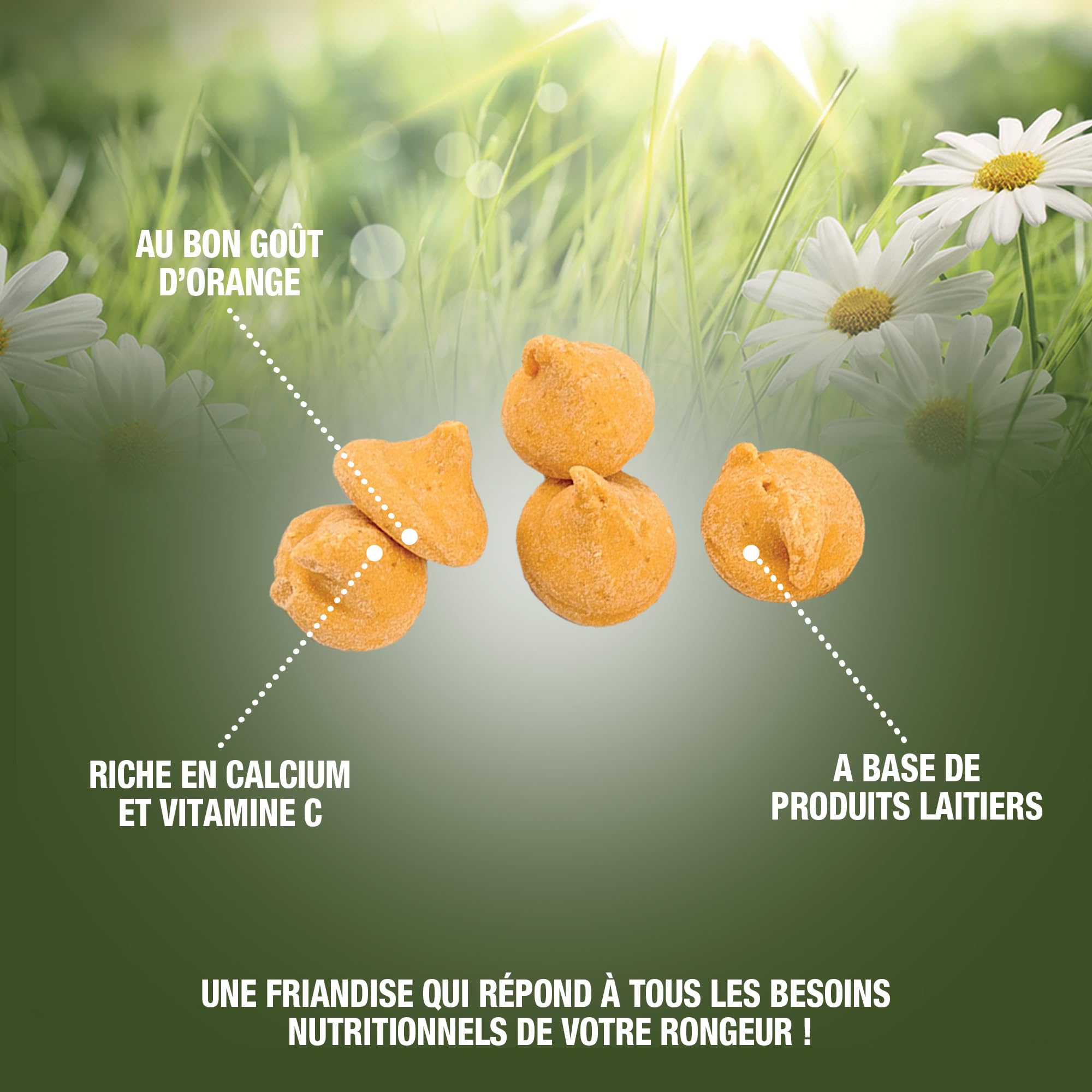 Riga - Rondly à l'Orange - Friandise Complémentaire pour Rongeur - A Base De Produits Laitiers - A l'Orange - Récompense Idéale - Friandise Croquante Et Savoureuse - 125 g