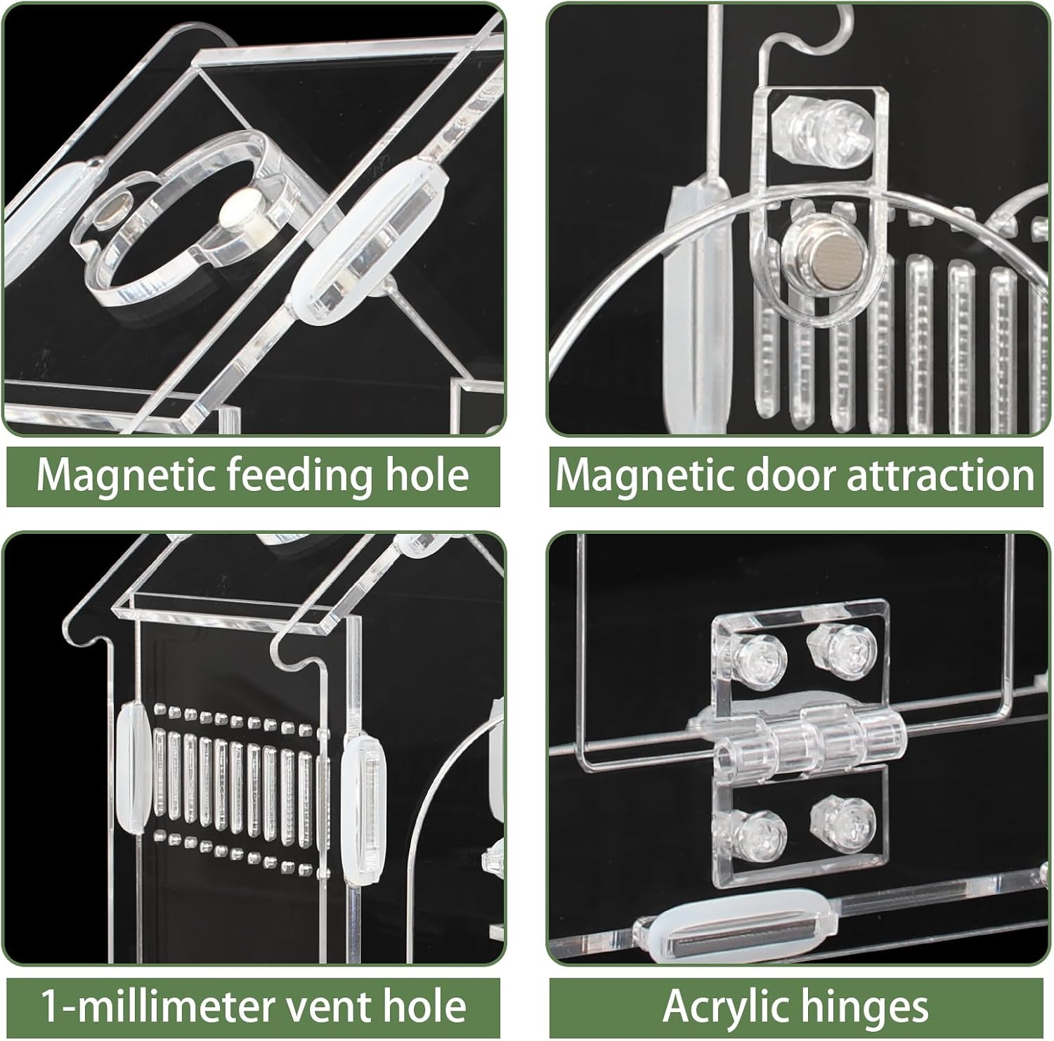Acrylic Jumping Spider Enclosure Magnetic Lock Terrarium | Clear Acrylic Viewing, Dual Vents, Sloped Roof, 5.9x3.9x5.1", Tool-Free Assembly