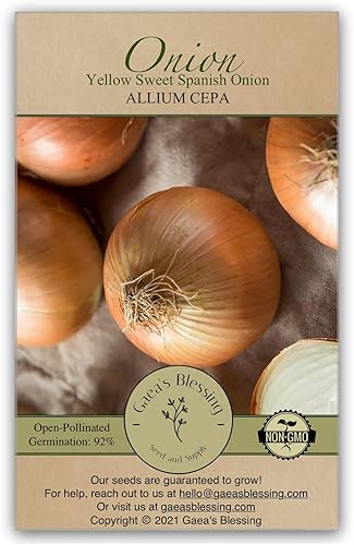 Gaeas Blessing Semillas de cebolla - Semillas de reliquia sin OMG con instrucciones fáciles de seguir cebolla española dulce amarilla