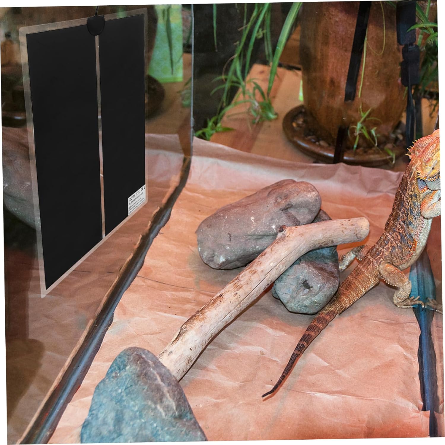 Small Pet Heating Pad Reptile Temperature Control 20w Power Overheat Protection for Safety