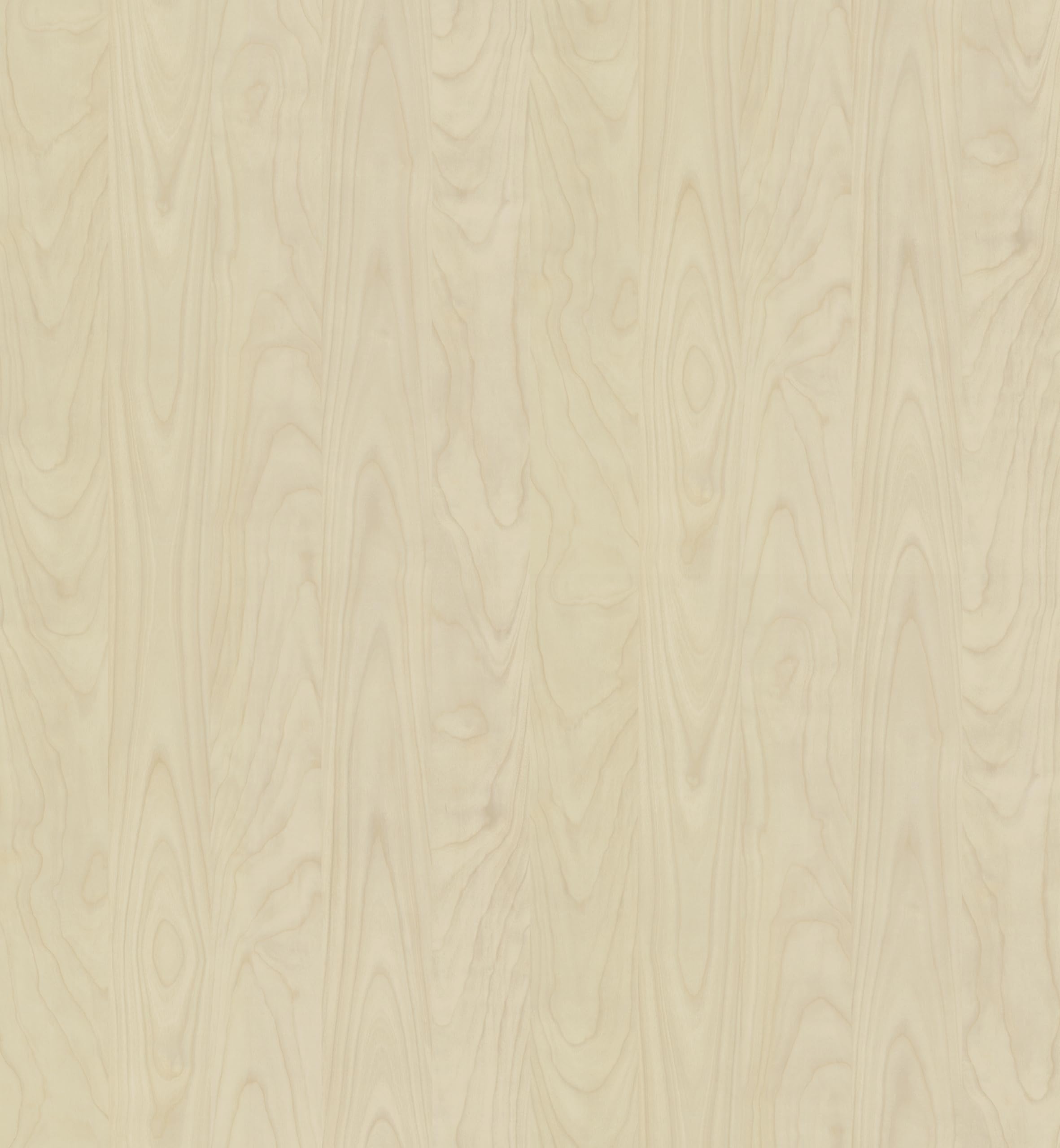 AUPROTEC Piano del tavolo 19mm Pino del mare 100x60 cm I Pannello truciolare con bordo ABS da 2mm e incollaggio PU I rivestito in melammina I robusto e idrorepellente