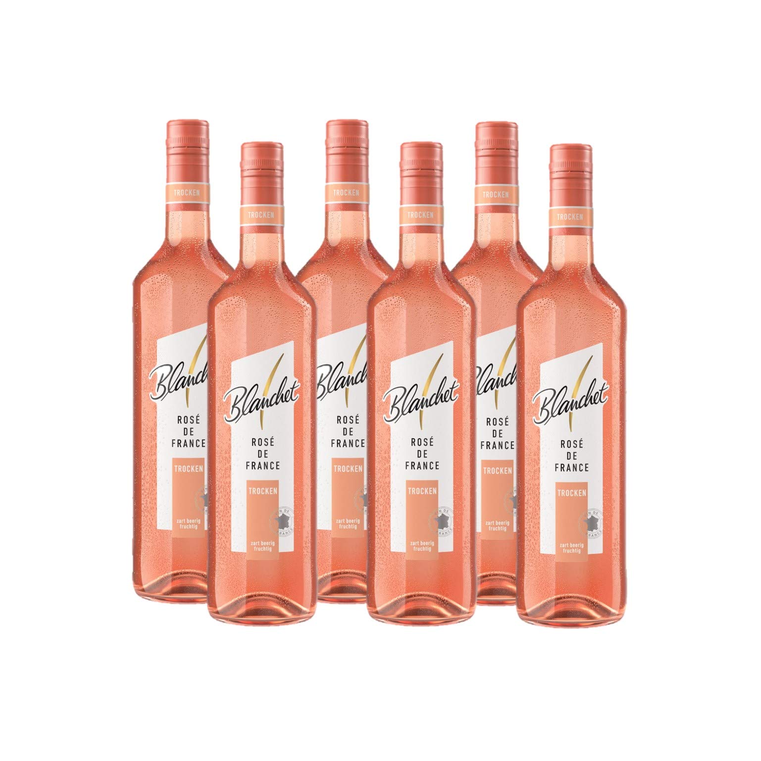 Blanchet Rosé de France Roséwein Trocken (6 x 0,75l)