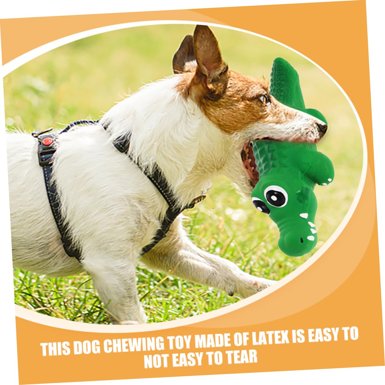 BESPORTBLE 10stücke Quietschendes Hundespielzeug Aus Interaktives Kauspielzeug Für Welpen Zur Zahnpflege Und Beschäftigung Farbenfrohes Design Für Spaß Und Gesundheit