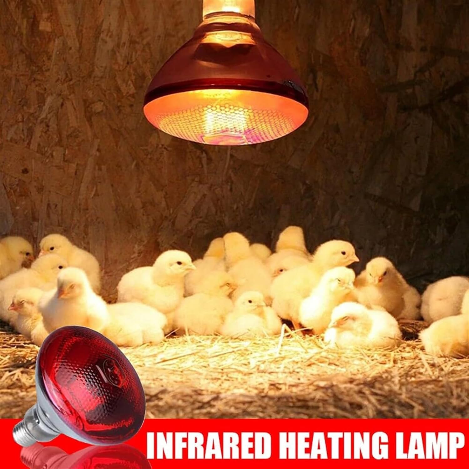 Infrared Heating Bulb Red, E27 Poultry Pet Heat Lamp, Chicken Coop Heater Hard Explosion-Proof Glass Infrared Heating Lamp for Chicken Pet Bathroom Warming Light Bulb (Color : 100w)