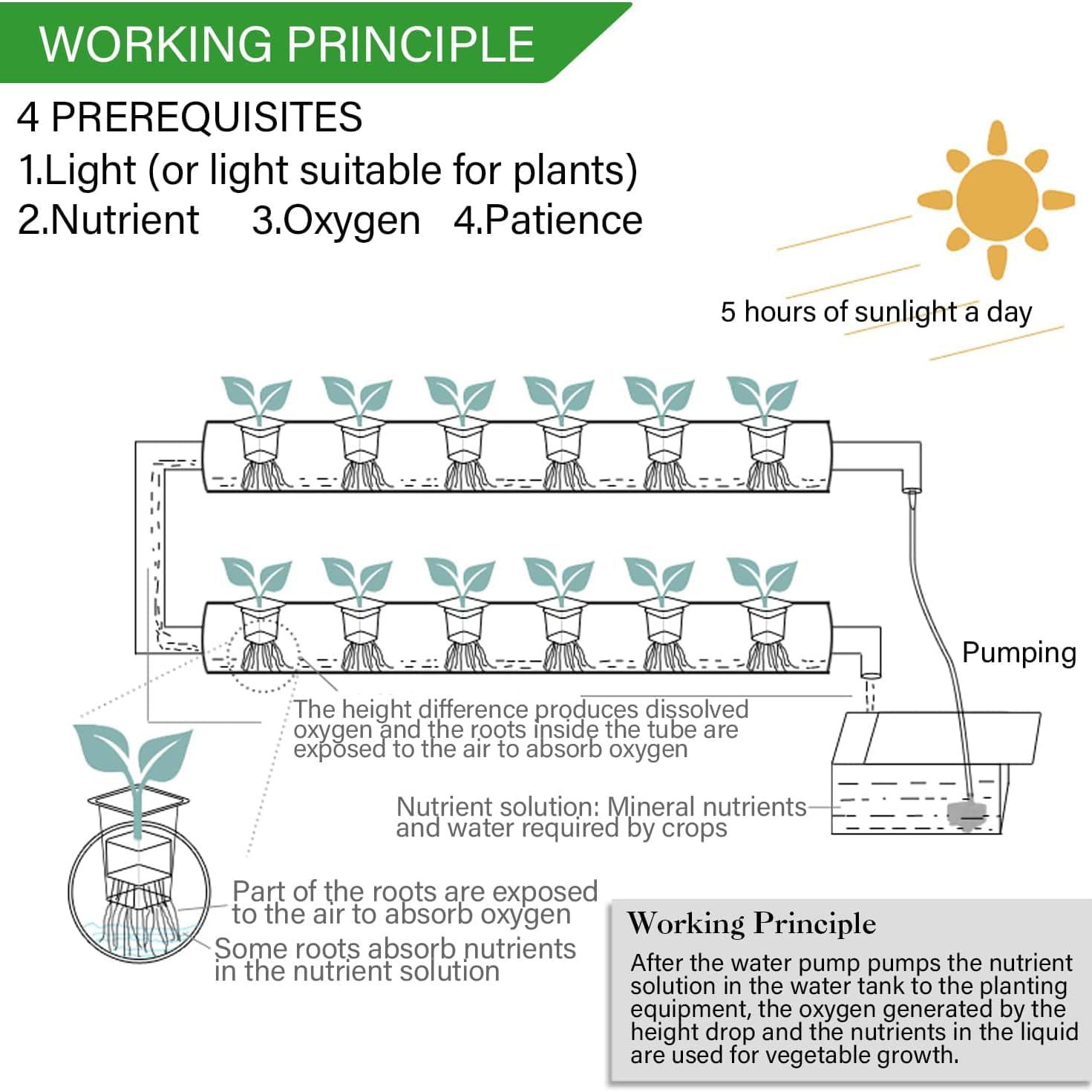 Hydroponics Growing System Kit,3 Levels 108 Sites/Hydroponic Planting Vegetables,Herbs Garden Tools,with Pump,Timer,Nest Basket,Growth Sponge,for Gardening(White)