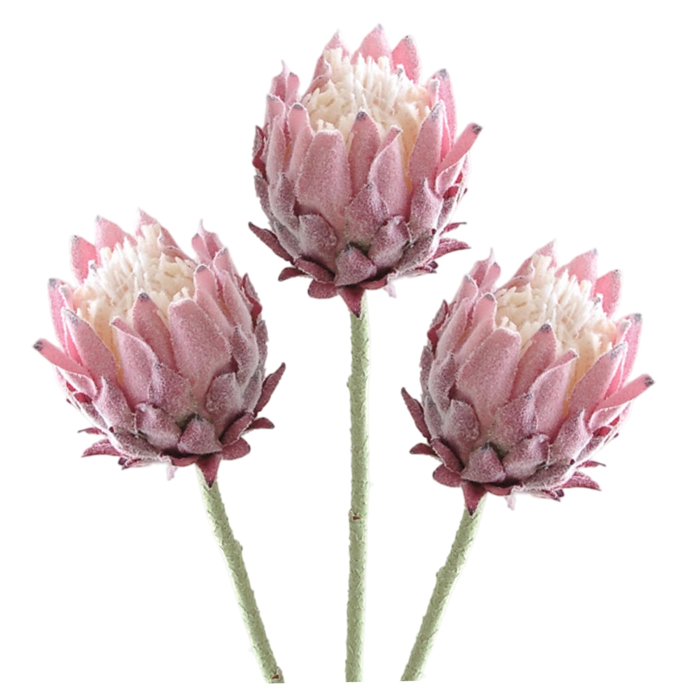 Bemonew Artificial Protea Flowers, 3pcs Tropical Flowers Artificial - Real Touch Faux Flower For Vase & Arrangement, 25.2 Inch Style 2