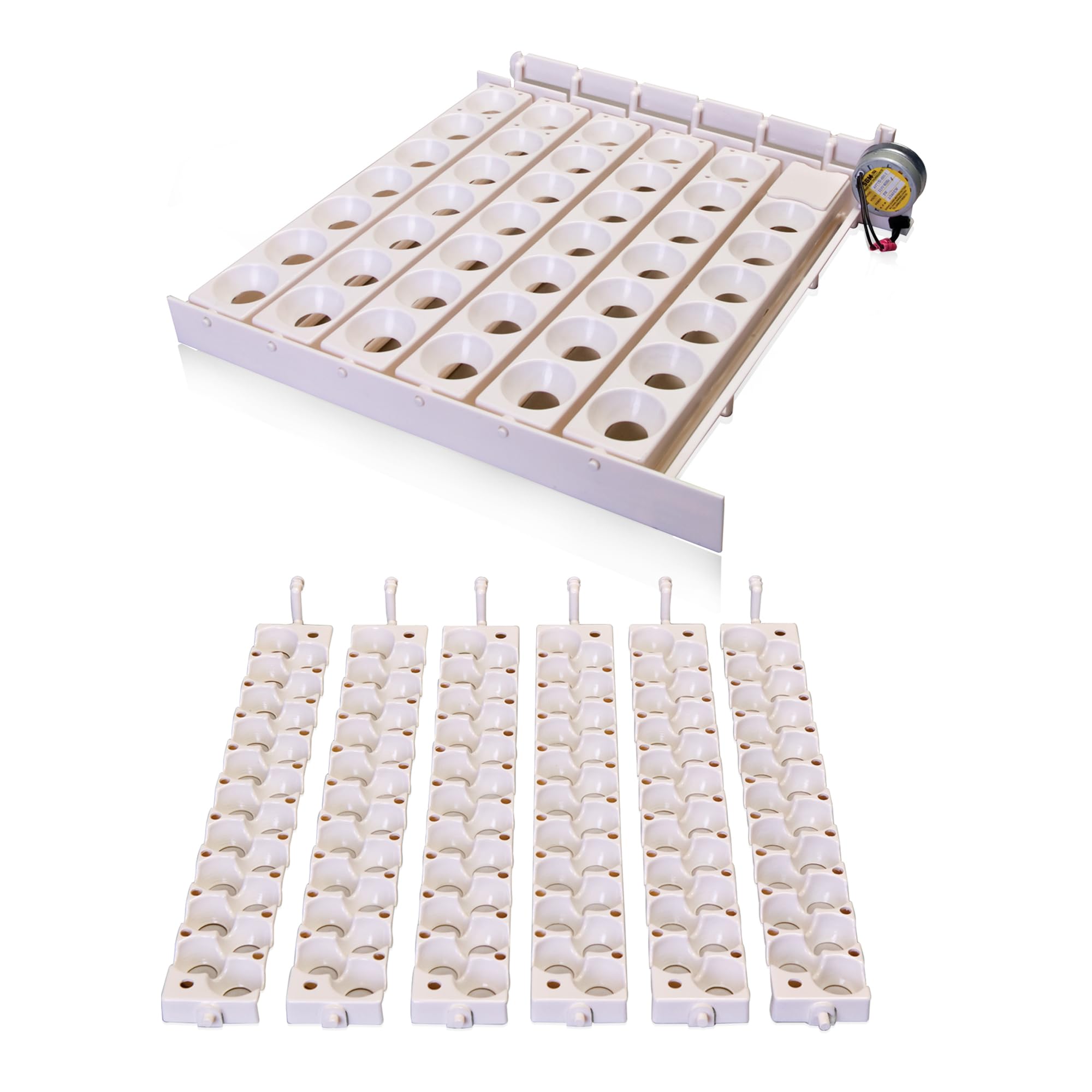 Little Giant Automatic Egg Turner 6300 w Quail Rails