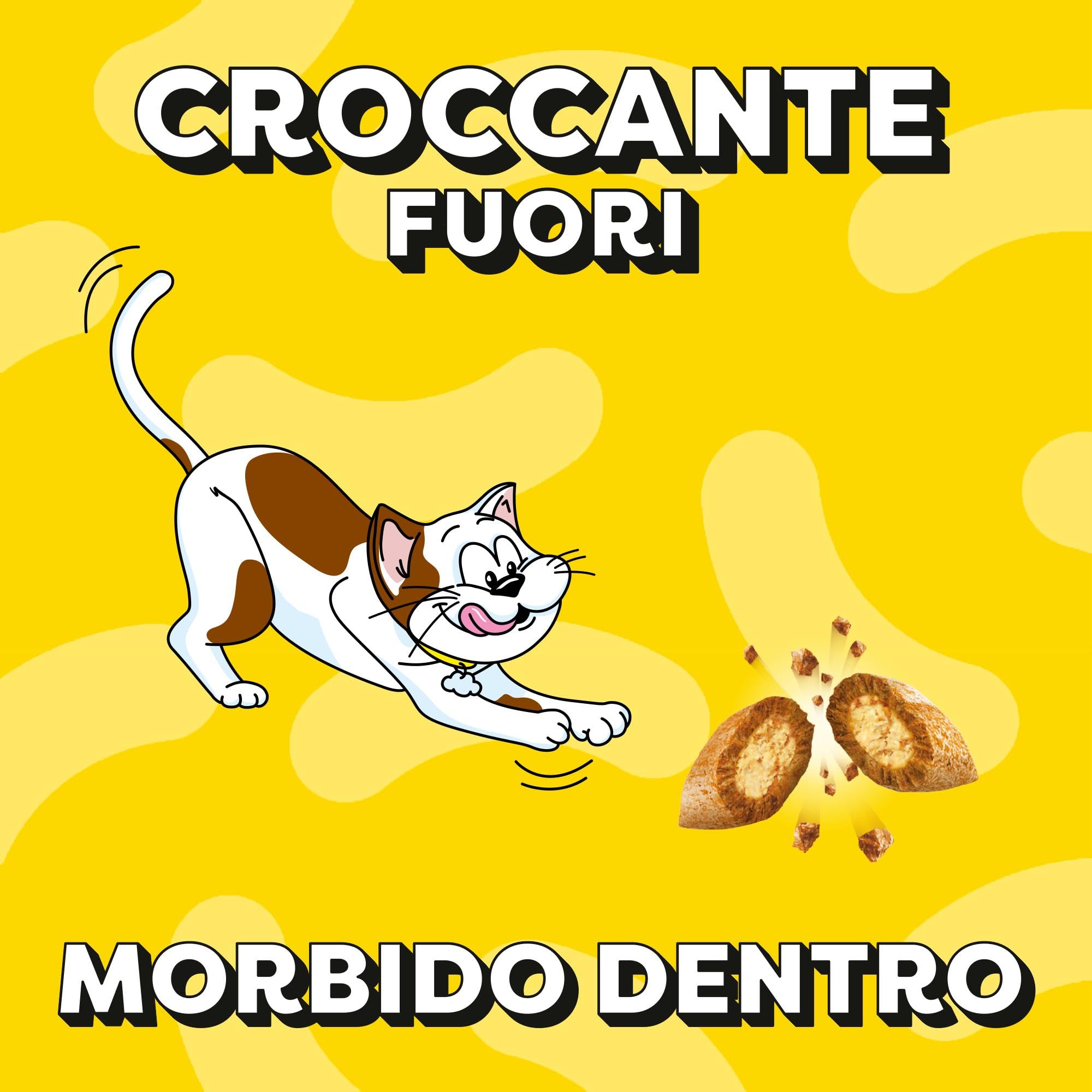 Catisfactions Snack per Gatto, Confezione mista Pollo Formaggio Salmone, 12 x 60 g