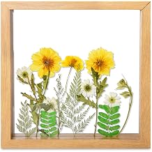 fanhuashijn Clear Pressed Flower Frame - Dried Flower Frame Adult Girls Night Crafts for Women Mother Gift Yellow-1, Medium