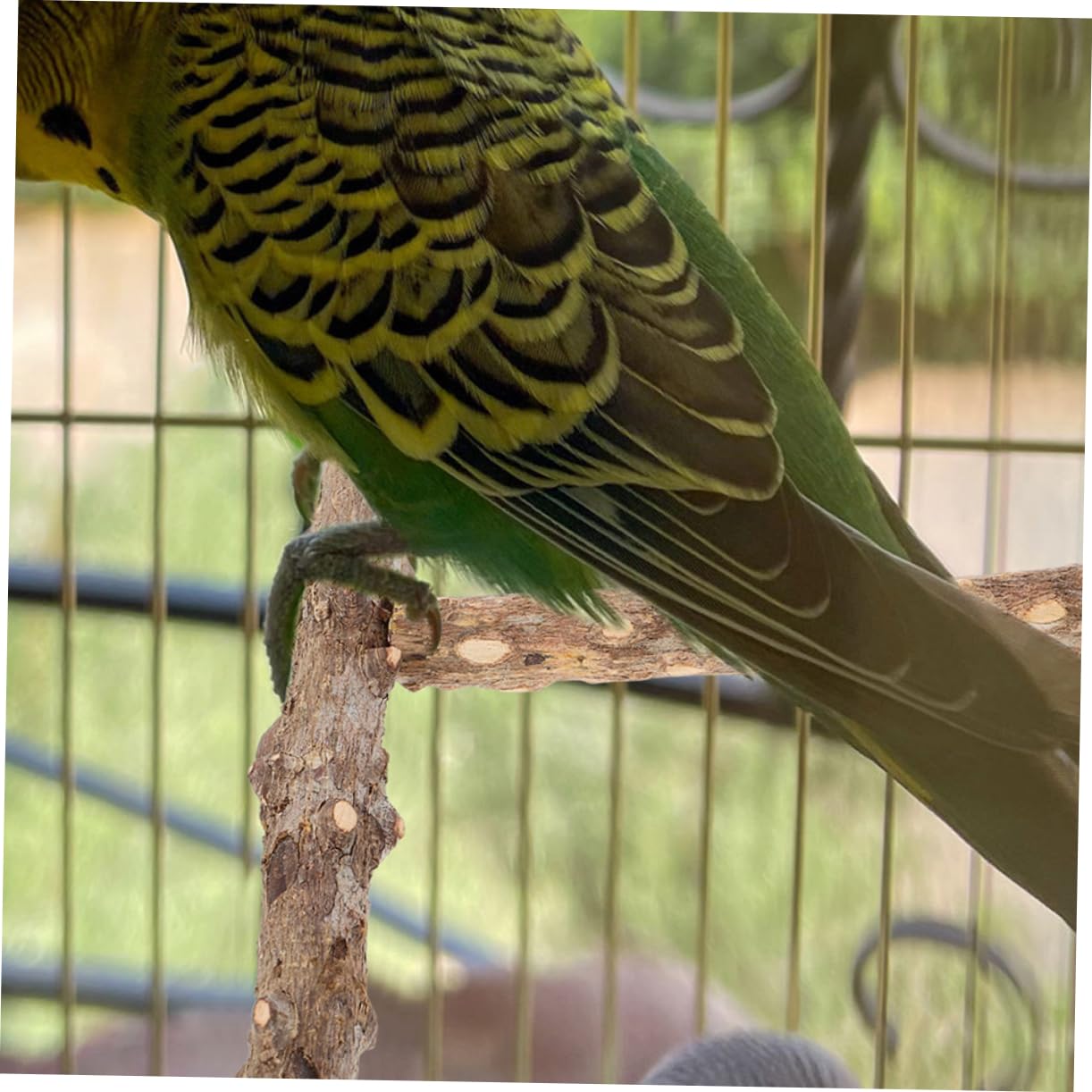 HANABASS 10pièces Perchoirs Naturel pour Oiseaux De Bâtons De Meulage pour Perroquets Et Perruches Jouets à Mâcher pour Cage à Oiseaux Accessoire Pratique Et