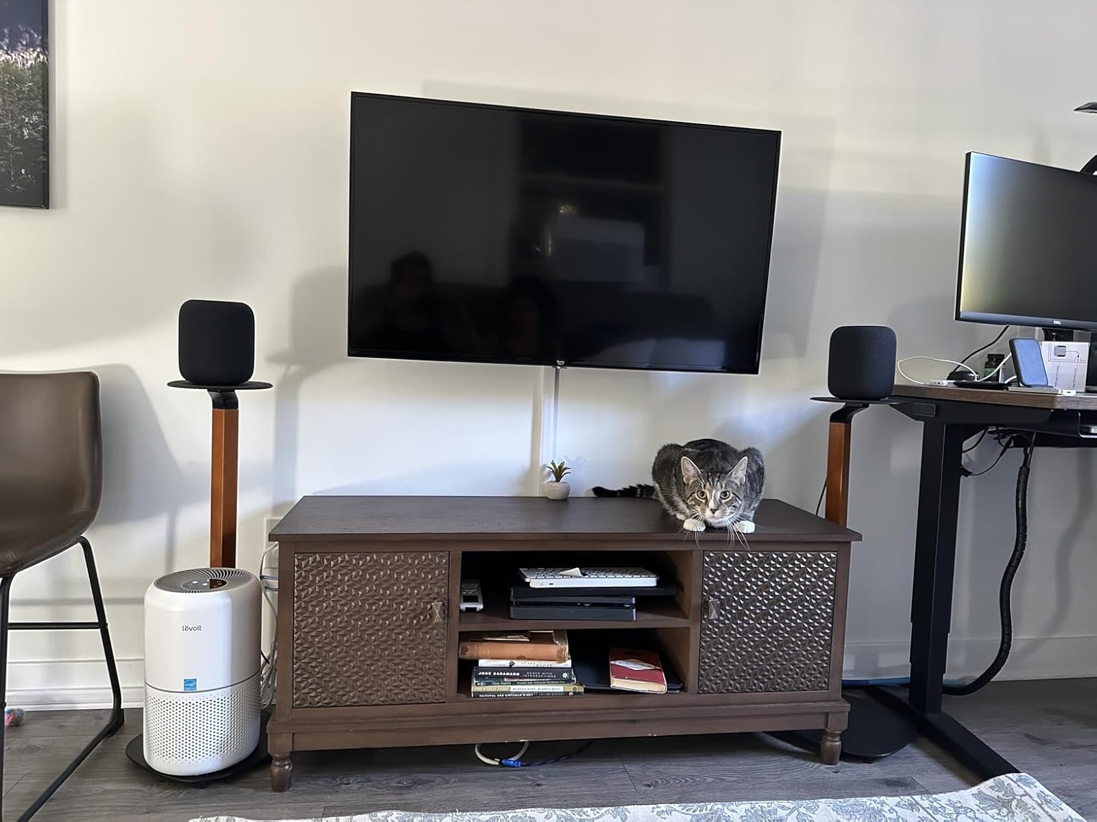 Levoit air purifier with cat