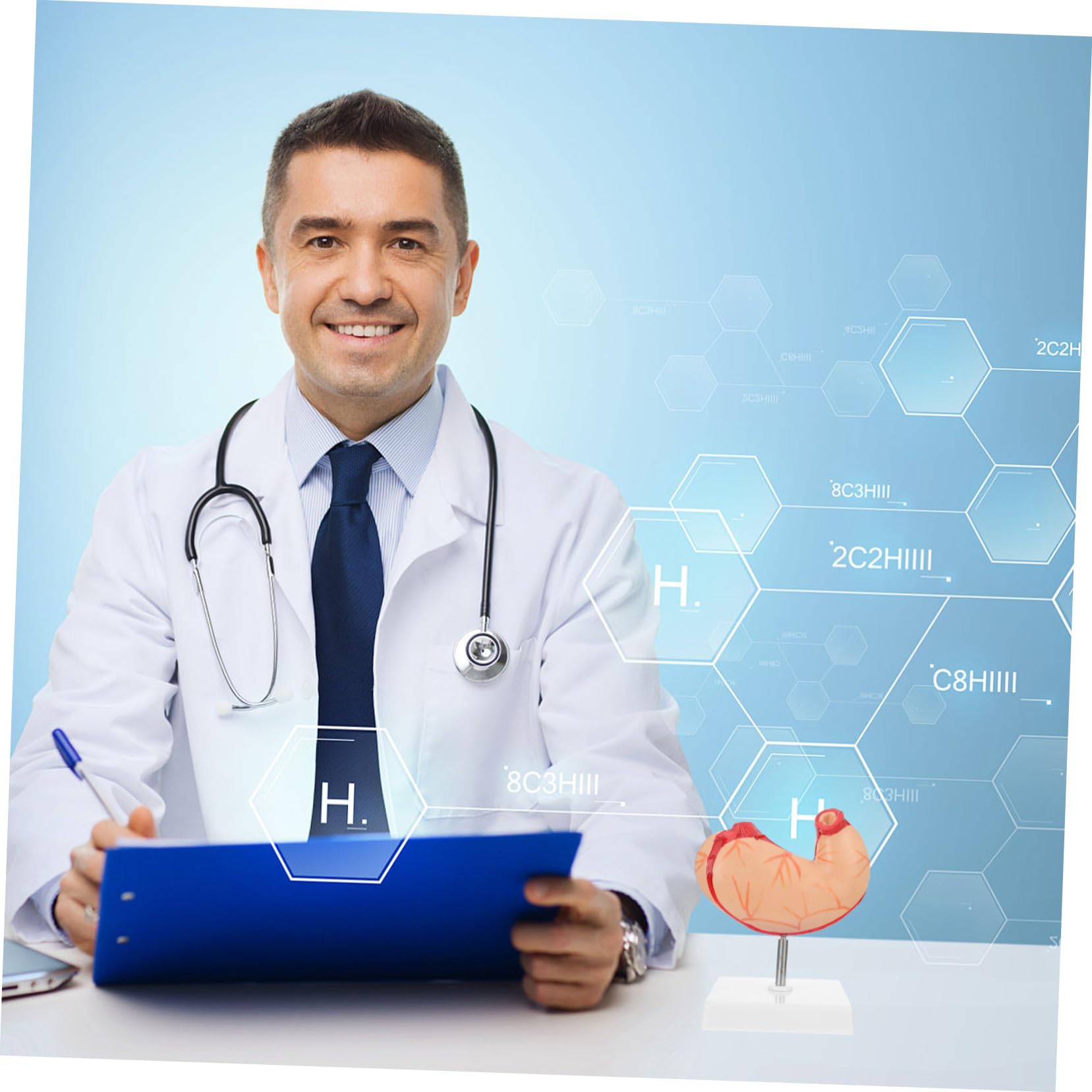 Medizinisches Anatomisches Magenmodell Naturgetreues Schul Lehrmittel Langlebiges Umweltfreundliches Material Für Biologie Unterricht