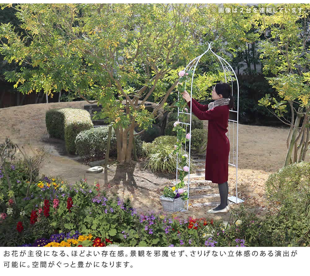 Amazon | 住まいスタイル アイアンハーフアーチダブル 幅110 奥行30 高